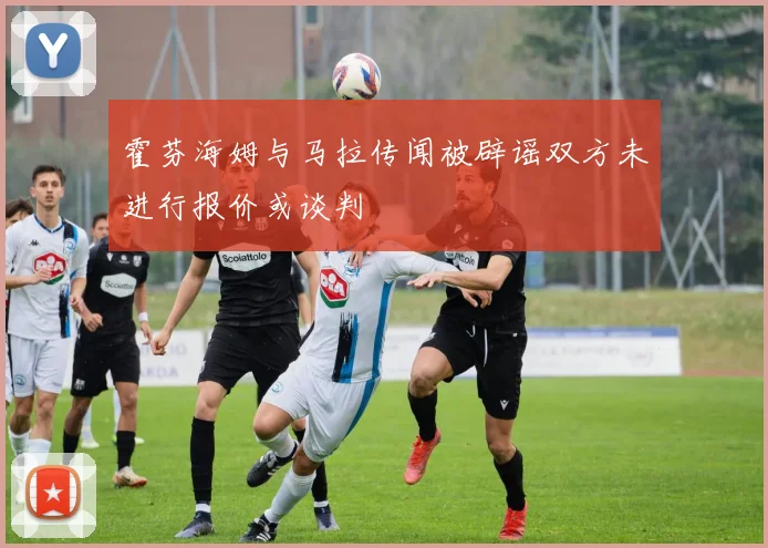 霍芬海姆与马拉传闻被辟谣双方未进行报价或谈判